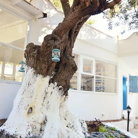 Misket Hotel Bodrum * Гюмюшлюк