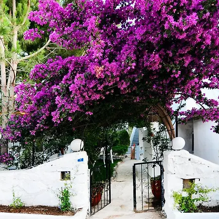Misket Hotel Bodrum Gumusluk