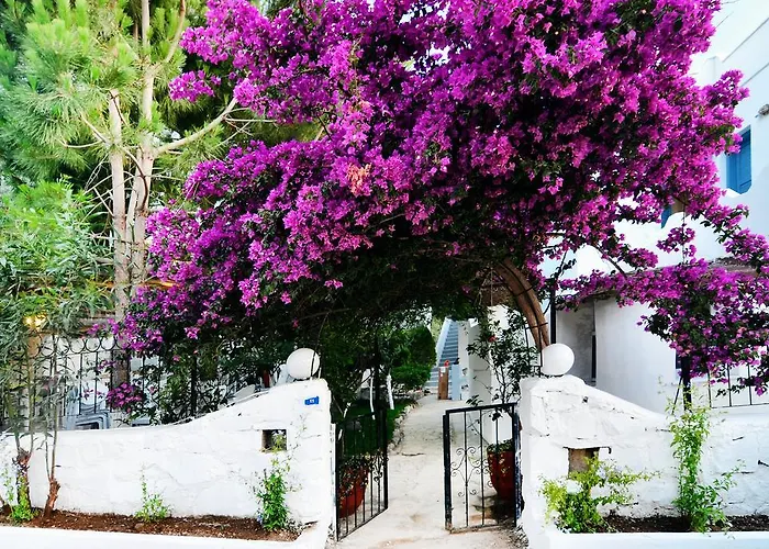 Misket Hotel Bodrum Gumusluk